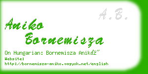 aniko bornemisza business card